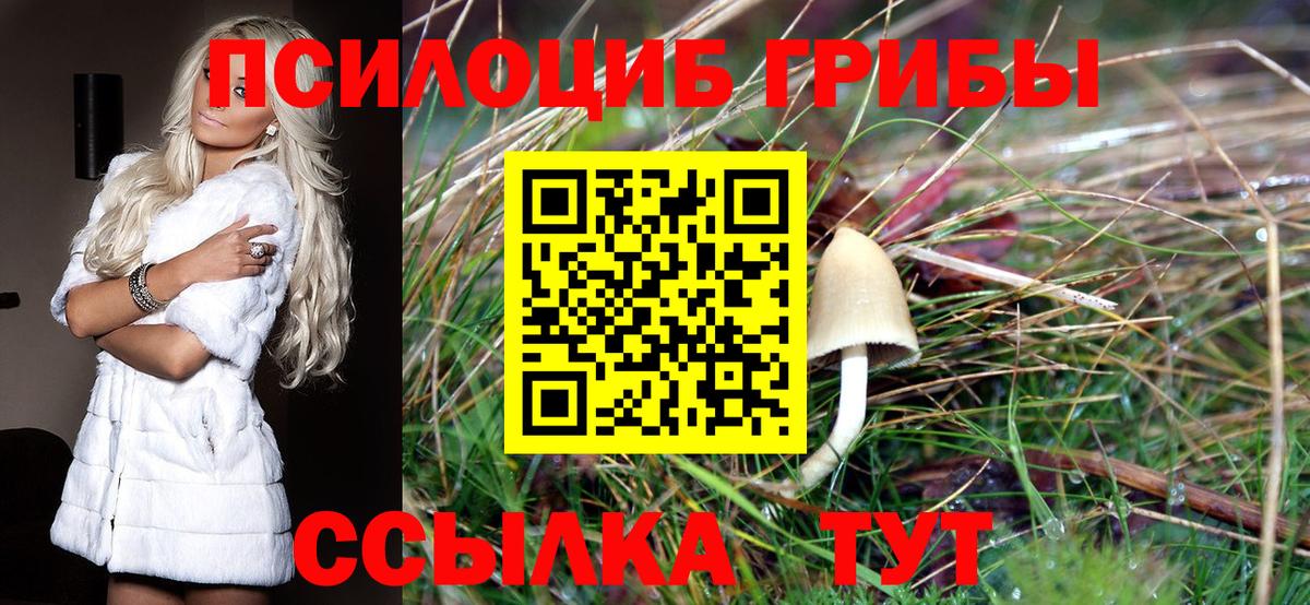 Псилоцибиновые грибы мицелий Ярцево