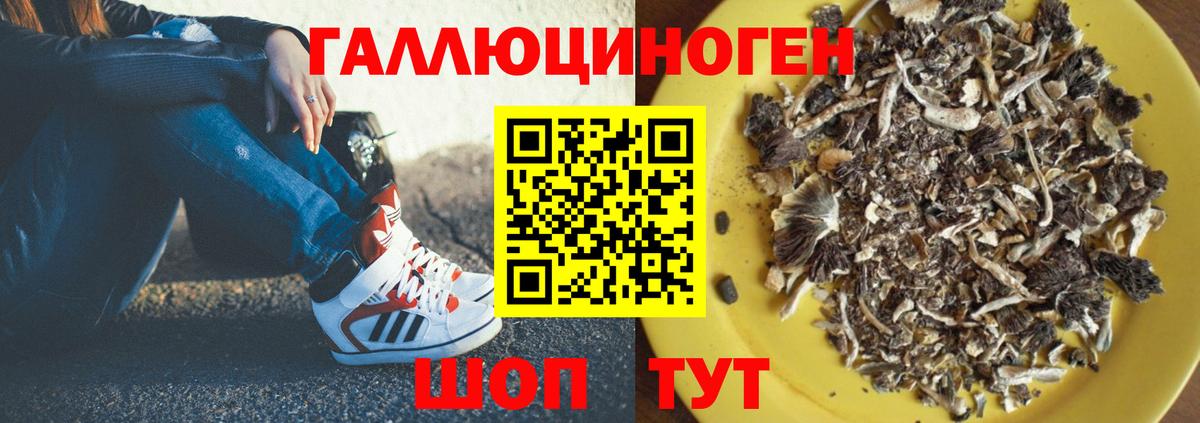 Ярцево  Псилоцибиновые грибы Magic Shrooms  Псилоцибиновые грибы Magic Shrooms  Вход с VPN 